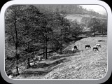 00622 Mossy Lea c1920