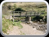 Mossey Lea