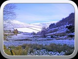 Mossey Lea