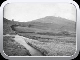 Mossey Lea