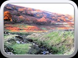 Mossey Lea