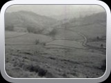 Mossey Lea From Snake