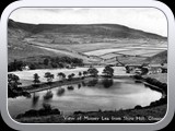 Mossylee1950s
