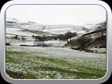 Mossey Lea