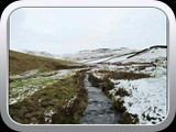 Mossey Lea