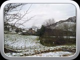 Mossey Lea