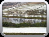 Mossey Lea