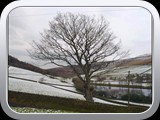 Mossey Lea
