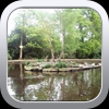 Fishppond 4