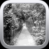 Lakeside Footpath