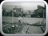 Meadow Mills
