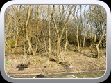 Workhouse Quarry Entrance