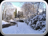 BILD0595